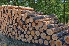 Brennholznachverkauf 2024 / zusätzliche Waldnummern